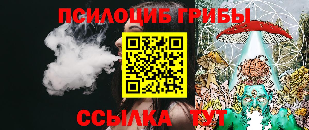 Галлюциногенные грибы Psilocybe Полевской