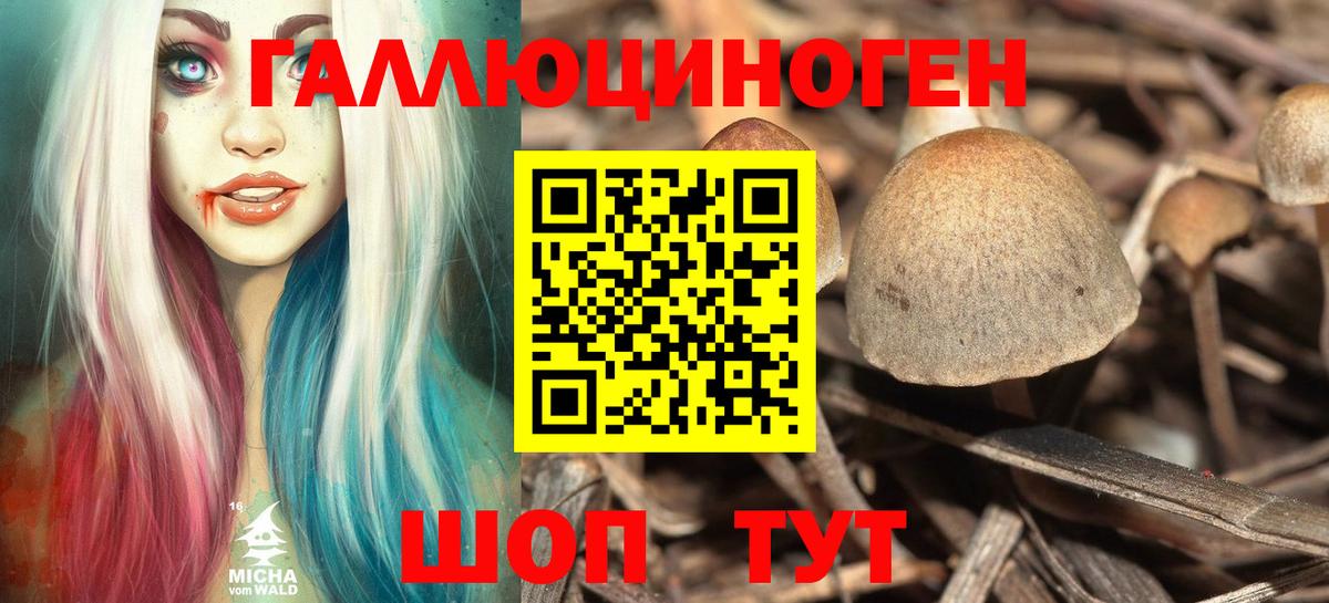 Псилоцибиновые грибы мухоморы  Галлюциногенные грибы Magic Shrooms  Полевской  Вход с VPN 