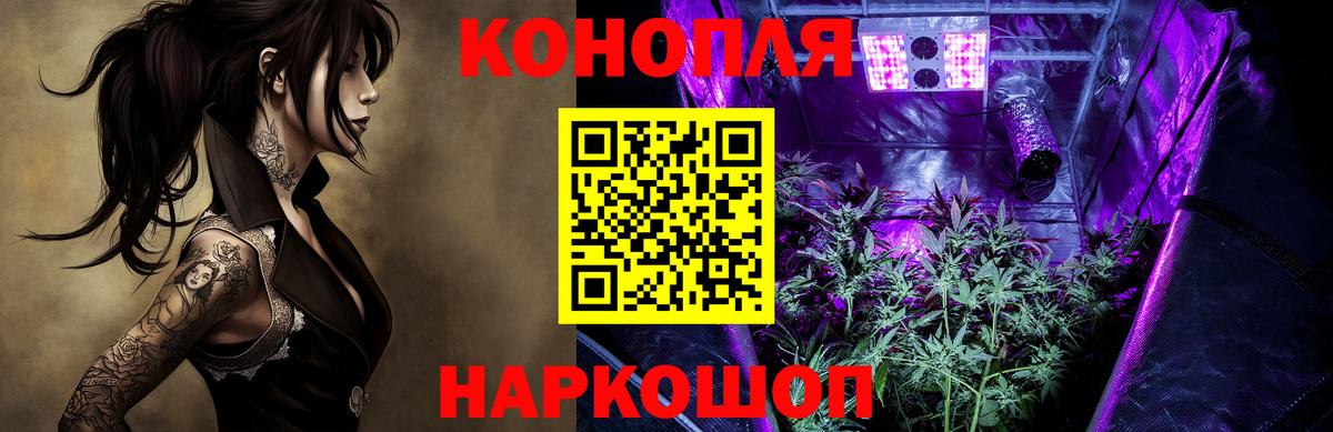 Марихуана сатива Полевской